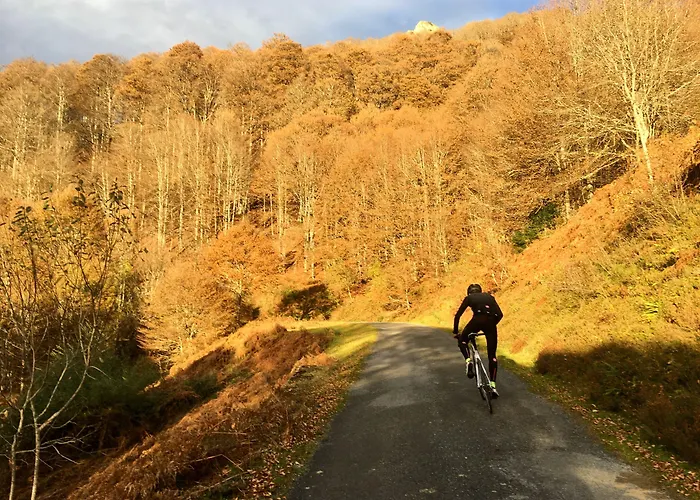 Ξενοδοχείο Au Primerose Argelès-Gazost